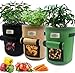 Produktbild VANUODA 3Pack Pflanztasche Kartoffel, Kartoffel Pflanzbeutel mit Sichtfenster und Griffen, Pflanze Wachsende Taschen, Vliesstoff Pflanzsack Pflanzen Tasche für Kartoffeln Tomaten Karotten Erdbeeren