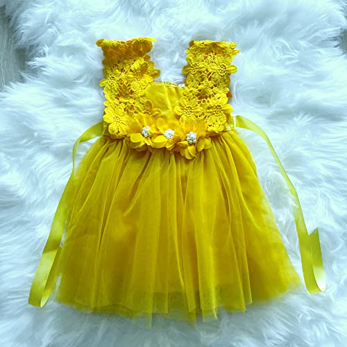 BGFKS Baby Girl Flower Lace Dress Elegant Princess Toddler Tulle Dress for Wedding Birthday Party.2
