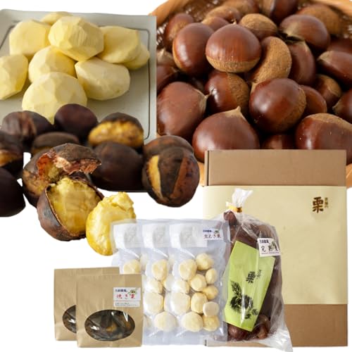 [ 吉原農場 の 完熟栗 ] 熟成 栗 お楽しみ セット (生栗 Lサイズ) 令和7年産 完熟 生栗 生むき栗 焼き栗 くり クリ 栗ごはん 贈答 ギフト 果物 フルーツ 旬 秋 冬 正月 おせち [CX014ci]