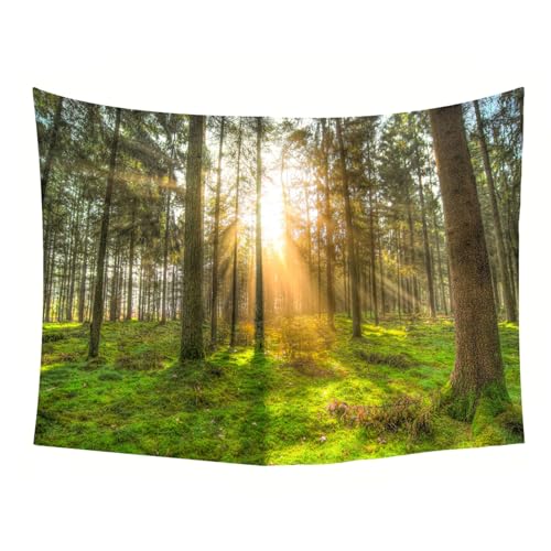 Tapisserie murale nature tissu lumière soleil forêt décoration - 5