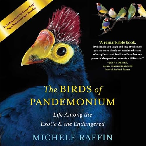 The Birds of Pandemonium Audiolivro Por Michele Raffin capa