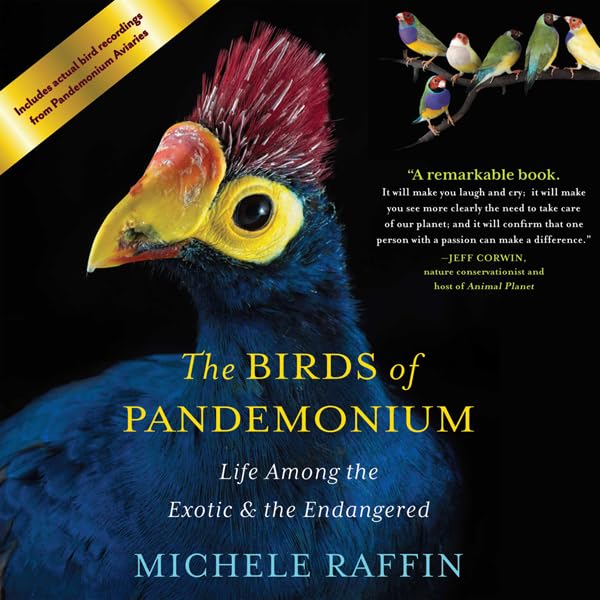 Cover art for The Birds of Pandemonium