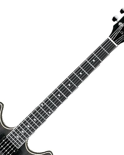 Amazon.com: Ibanez Artcore AS53 - Transparent Black Flat : Musical