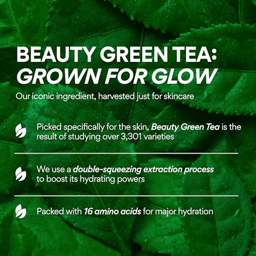 Innisfree 2698298 Green Tea Caffeine Bright-Eye Serum With Niacinamide, Cooling Korean Eye Roll On Serum, Hydrating Eye Cream thumb #6