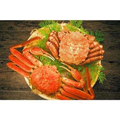 お歳暮 冬ギフト お年賀 【ズワイ姿1kg前後 北海道産毛蟹800g前後 】本ズワイガニ(姿)1kg ズワイガニカニ ジャンボ毛蟹800g前後 食べ比べ お中元 ギフト ズワイガニ 1尾1kg前後 ロシア産 北海道加工 ボイル かに カニ 蟹 けがに カニ