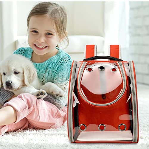 Mochilas transportadoras para gatos,Porta-mochilas de gato para cães e gatos pequenos | Mochila para