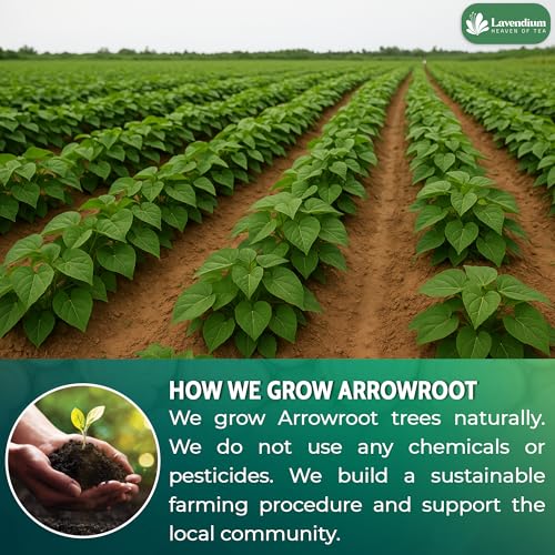 Image of Lavendium, Premium 17.6oz Arrowroot Powder, 100% Natural & Pure Arrowroot Starch, No Additives or Preservatives, Non-GMO, Gluten-Free, Plant-Based & Vegan, Perfect for Baking, Thickening & Gluten-Free Cooking