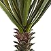 Nearly Natural Spiky Agave Succulent Plant (Set of 2)