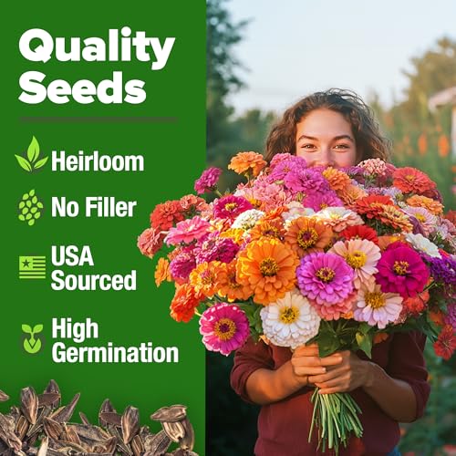 Image of HOME GROWN Zinnia Seeds for 2026 - California Giant Mix - 14,600+ (4 oz) Plant Wildflower Blooms Bulk Seeds for Planting Flowers Outside - Pollinator Gardens (Zinnia elegans)