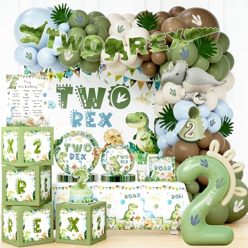 Costova Two Rex Birthday Decorations Boy Dinosaur 2nd Birthday Supplies Kit with Tableware Plates Napkins Cups Backdrop Balloon Arch Boxes for Boys 2 Year Old Jungle Safari Dino Party Supplies