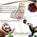 SunGrow 24 Pcs Ferret Mylar Crinkle Balls, 2