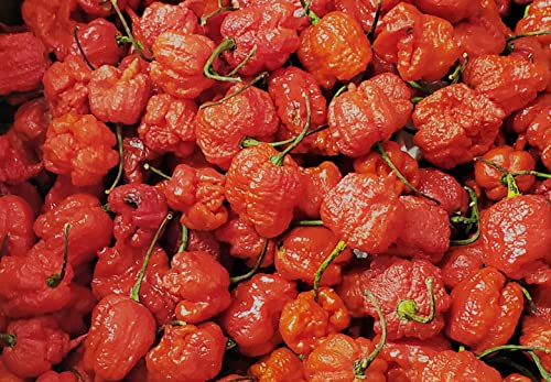 Dragons Breath 5+ Dried Peppers