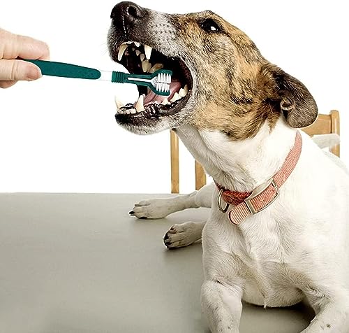 Image of BWESOO Green Dog Toothbrush, Triple Headed Toothbrush Dog for Pet