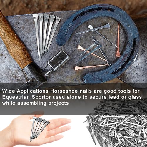 Image of Steel 2 inch Horseshoe Nails E5 Horseshoe Nails Box of 250pcs | Stainless Steel Nail-Horse Hoof Training Supplies Tool for Securing Firmly