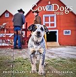 2016 Cow Dogs Wall Calendar