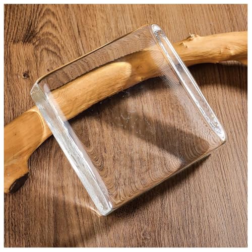 C S Block Brique en cristal 15 x 15 x 5 cm pour murs et décoration (1 pièce) Design C S polyvalent