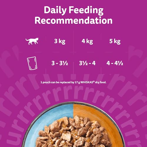 WHISKAS DUO Adult Wet Cat Food in Jelly 40x85g Surf & Turf - Image 5