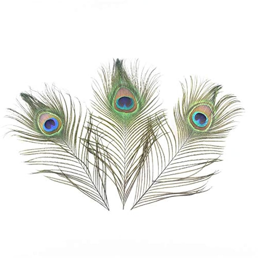 画材 Peacockesque 画材 Peacockesque 画材 Peacockesque Amazon.com: Peacock