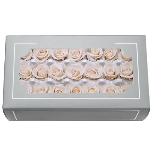 FORTTS A Grade 2-3cm Konservierte Rose, Top Grade Natural Eternal 21 Stück/Box Echte Rosen, Ewige Rose für Muttertag, Valentinstag, Geburtstag, Geschenke, Hochzeit, Zuhause, Party, Dekoration, DIY
