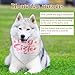 2pcs Dog Bandana Pregnancy Announcement, Pet Dog Scarf Pet Triangle Bandana Bib Baby Security in Training Big Sister Scarf Accessories for Gift