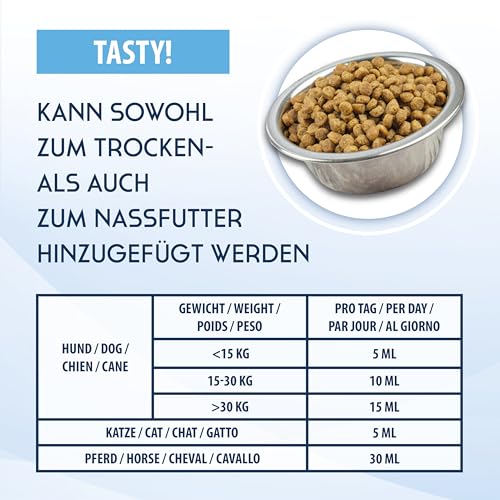 500ml Lachsöl für Hunde, Katzen und Pferde | Reich an Omega 3 & 6 Fettsäuren - 100% Natürliches Fischöl im 0,5 Liter Gebinde