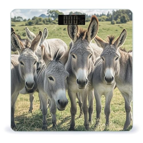 Báscula digital de baño Donkey Animals con vidrio templado miniatura 1