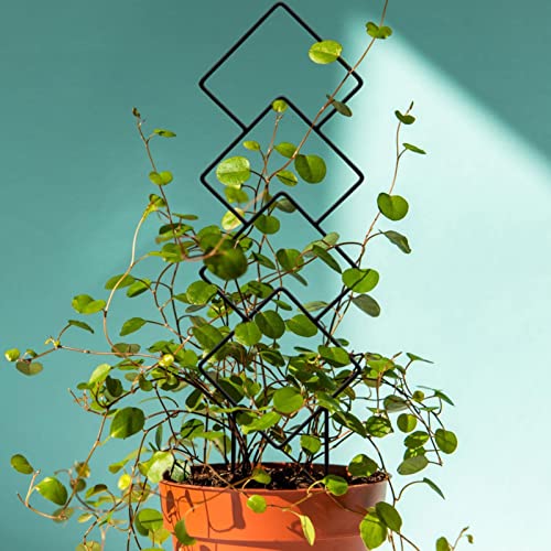 Treliça Metálica - plantas internas pequenas para vasos plantas escalando Pacote 4,jardim criativa p