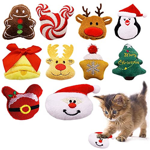 Pai Sence 10 NX}X L Lbgjbv  L C^NeBu NX}X ʂ qL  LeB V XgX L l