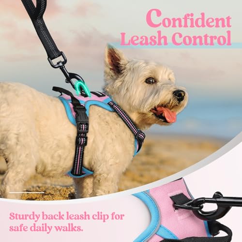 Image of rabbitgoo Dog Harness No Pull with 2 Leash Clips, Adjustable Soft Padded, Reflective Oxford No Choke Pet Vest with Easy Control Handle for Puppy, Pink & Blue, XS