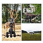 Phone Mini Tripod, Ruittos Premium Flexible Mobile Phone Tripod Stand Compatible with iPhone Samsung Go Pro, Small Digital Camera, Black - Image 2