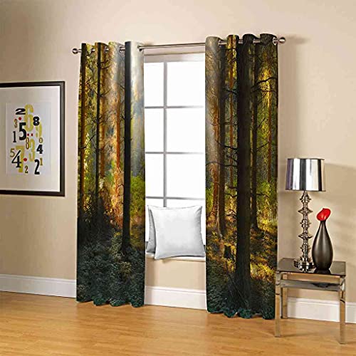 Rideaux occultants 3D paysage forêt isolant thermique phonique oeillets
