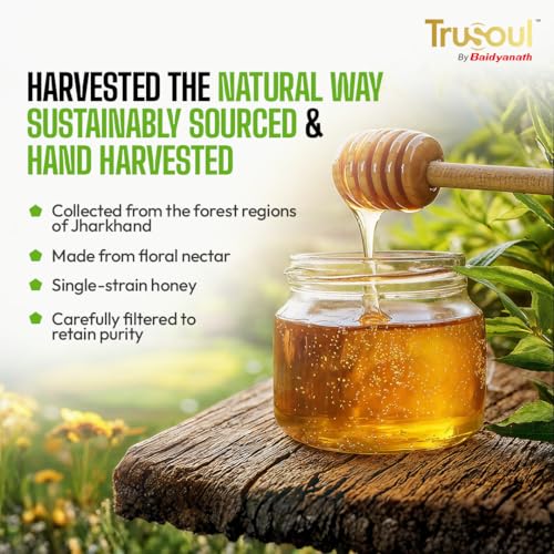Image of TruSoul Pure & Natural Tulsi Honey 500g | Wild Forest Sourced | Natural Immunity Booster | Raw & Unprocessed Honey | No Adultration | Glass Jar | Lab Certified (Pack of 3)