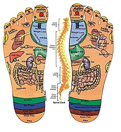 saleshop365 Yoga Paduka/Acupressure Sandals/Foot Massager Slipper/Acupressure Foot Relaxer/Rotating Acupressure Foot Slippers for Men & Women (Free Size) 1