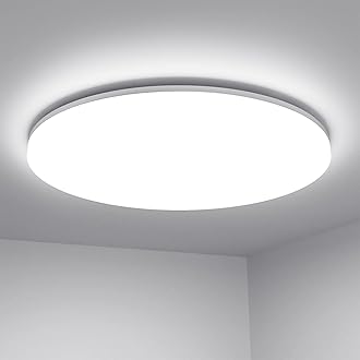 Lighting EVER Plastic Flush Mount Ceiling Light Fixture,Waterproof Ip54 13Inch Led,24W(2X100W Equivalent)2400Lm Non Dimmable Ceiling Lamp For Living Room,Hallway