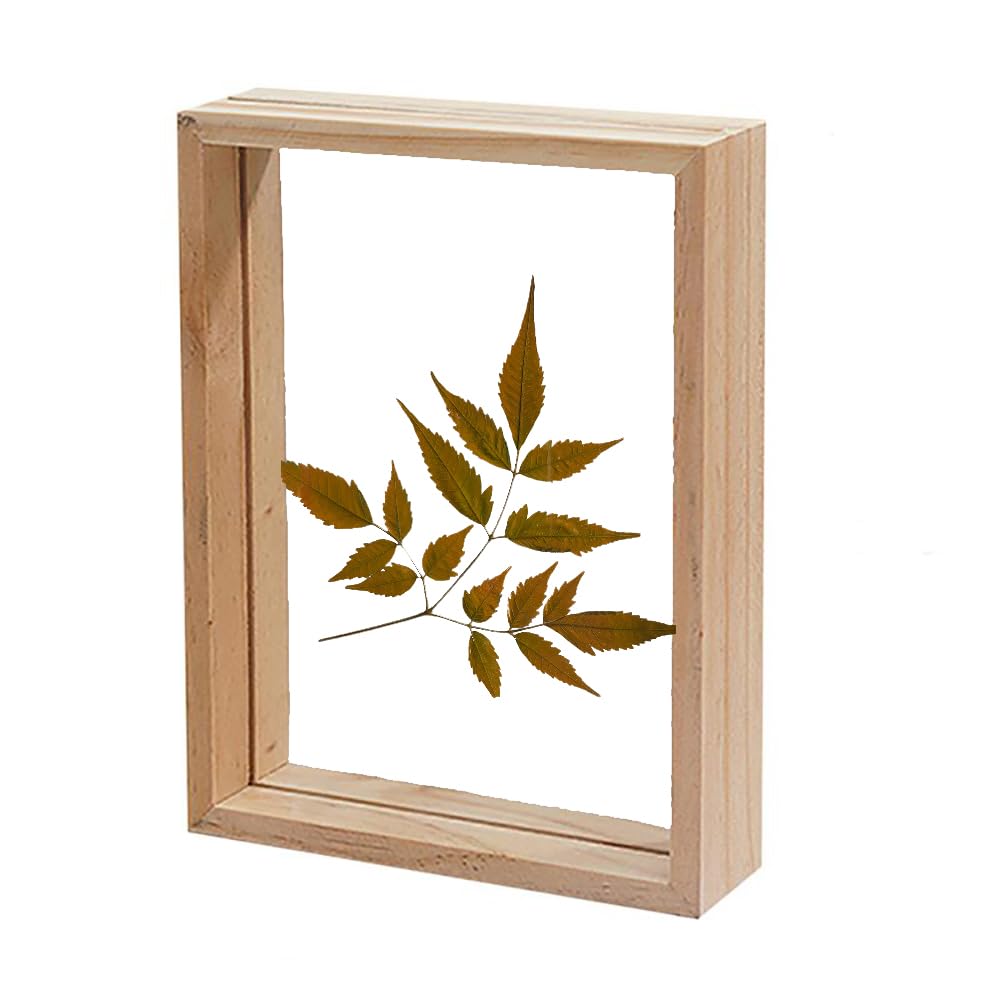 Desi Rang Wooden Frame for Wall Decor Table top Hanging Any Green or dry plant Leaf Picture Photo DIY Gift Home decoration (White,Rec,7.5x5.5inch,with Dry Leaf) (B0D3CKXHZR) Amazon Price History, Amazon Price Tracker