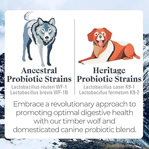OTIS-Digestive-Health-for-Dogs-Ancenstrial-and-Heritage-Probiotics-Intestinal-Gut-Health-Support-with-DHA-and-EPA-Healthy-Dog-Supplements-8-fl-oz-Salmon-oil - Cucciolini Doodles   OTIS-Digestive-Health-for-Dogs-Ancenstrial-and-Heritage-Probiotics-Intestinal-Gut-Health-Support-with-DHA-and-EPA-Healthy-Dog-Supplements-8-fl-oz-Salmon-oil