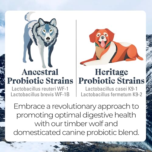 OTIS-Digestive-Health-for-Dogs-Ancenstrial-and-Heritage-Probiotics-Intestinal-Gut-Health-Support-with-DHA-and-EPA-Healthy-Dog-Supplements-8-fl-oz-Salmon-oil - Cucciolini Doodles   OTIS-Digestive-Health-for-Dogs-Ancenstrial-and-Heritage-Probiotics-Intestinal-Gut-Health-Support-with-DHA-and-EPA-Healthy-Dog-Supplements-8-fl-oz-Salmon-oil