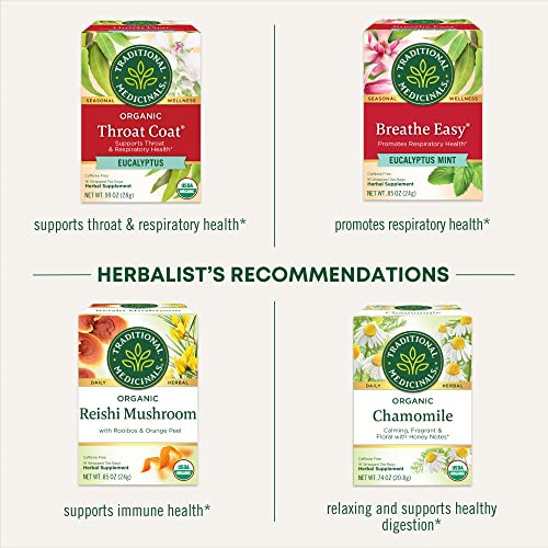 Traditional Medicinals Cold Care Seasonal Tea