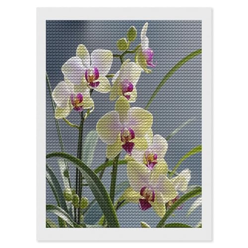 Pintura de diamantes de orquídeas 5D para relajarse en casa y decorar salones
