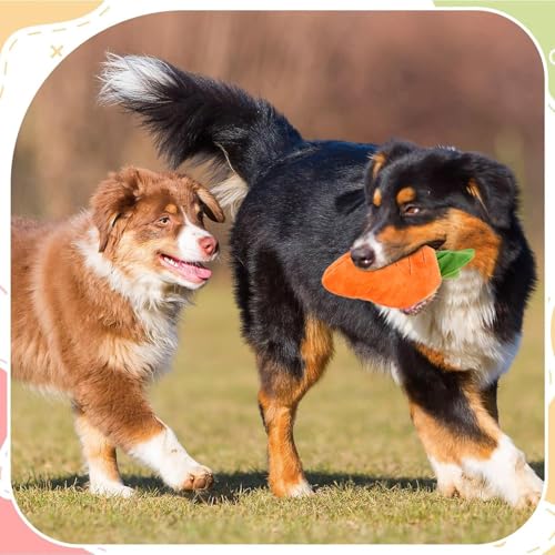 Jouet carotte chien 75 cm multi-squeaks interactif grand format pour intérieur