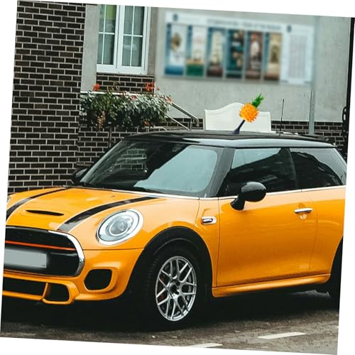 2 adornos de antena de coche para dar un toque divertido y único a tu salpicadero 2