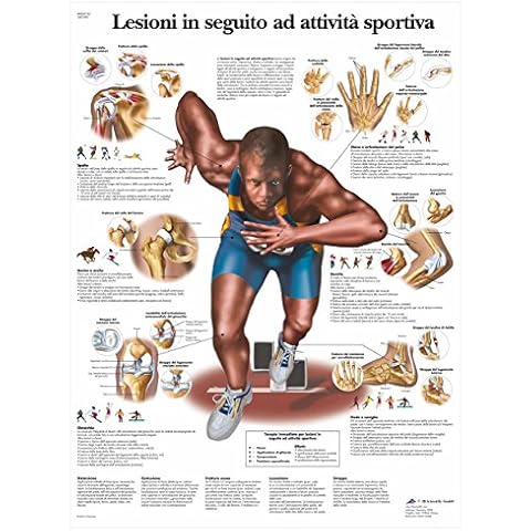 3B Scientific Lehrtaffel laminiert - Lesioni ad attivitá sportiva - Italienisch Cover