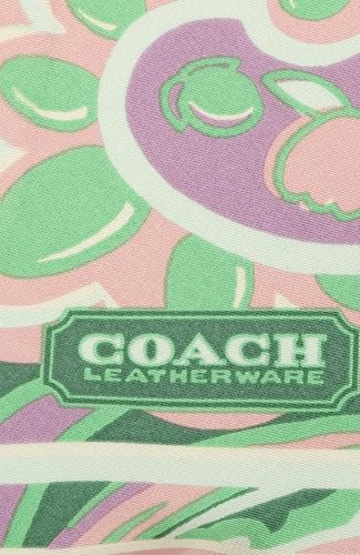 Coach womens Andrea Paisley Printed Silk Triangle4