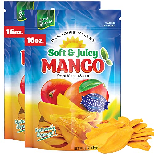 Paradise Valley Dried Mango 2-Pack