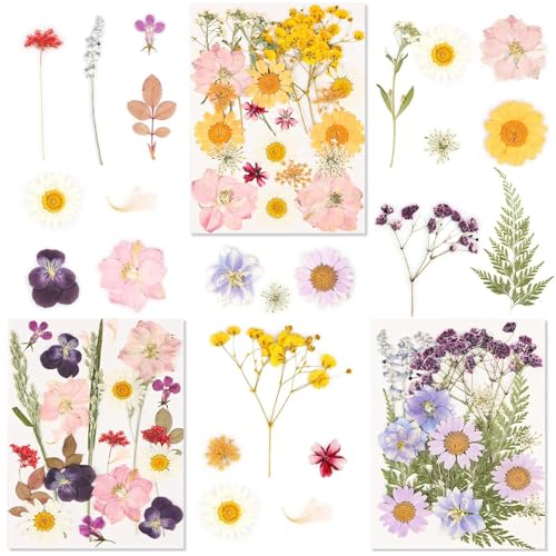 BUOSHUO 66 Pièces Fleurs Séchées,Fleurs Sechees Naturelles,pour DIY Décoration de Résine Epoxy, Bijoux, Bougies Artisanales, Nail Art, Scrapbooking et Plus