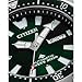 Citizen Men's Eco-Drive Promaster Dive Fugu Automatic Stainless Steel Watch, Luminous, ISO Compliant, Silver/Green Dial