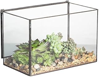 NCYP 17x10x12CM Rectangle Glass Terrarium Box With Lid, Tabletop Black Small Planter, Handmade Cuboid Geometric Clear Flower Pot for Succulent Air Plants Moss Fern, Modern Gift (No Plants)