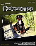 dobermann welpen mv  Unser Traumhund: Dobermann