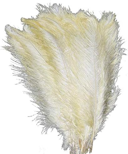 Lanpeed 10pcs Ostrich Feathers 18-20 inch (45-50cm) for Home Wedding Party Decoration (Ivory)