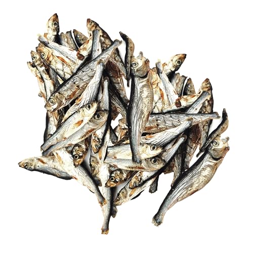 Gaczoo - Sprotten für Hunde Getrocknet - Getrockneter Fisch für Hund - 100% Trockenfisch, Hundeleckerli, Trainingsleckerli - ohne Zusätze, reich an Omega 3, Fettarm - 500g